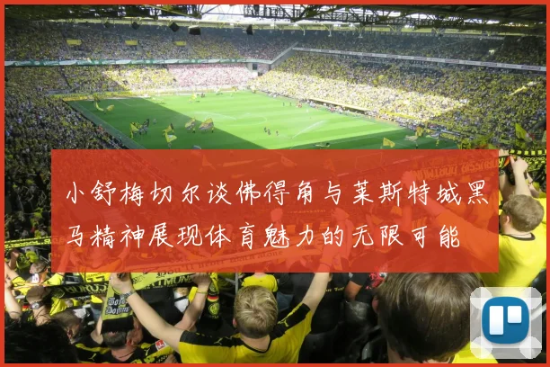 小舒梅切尔谈佛得角与莱斯特城黑马精神展现体育魅力的无限可能