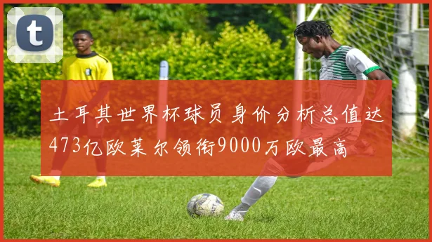 土耳其世界杯球员身价分析总值达473亿欧莱尔领衔9000万欧最高